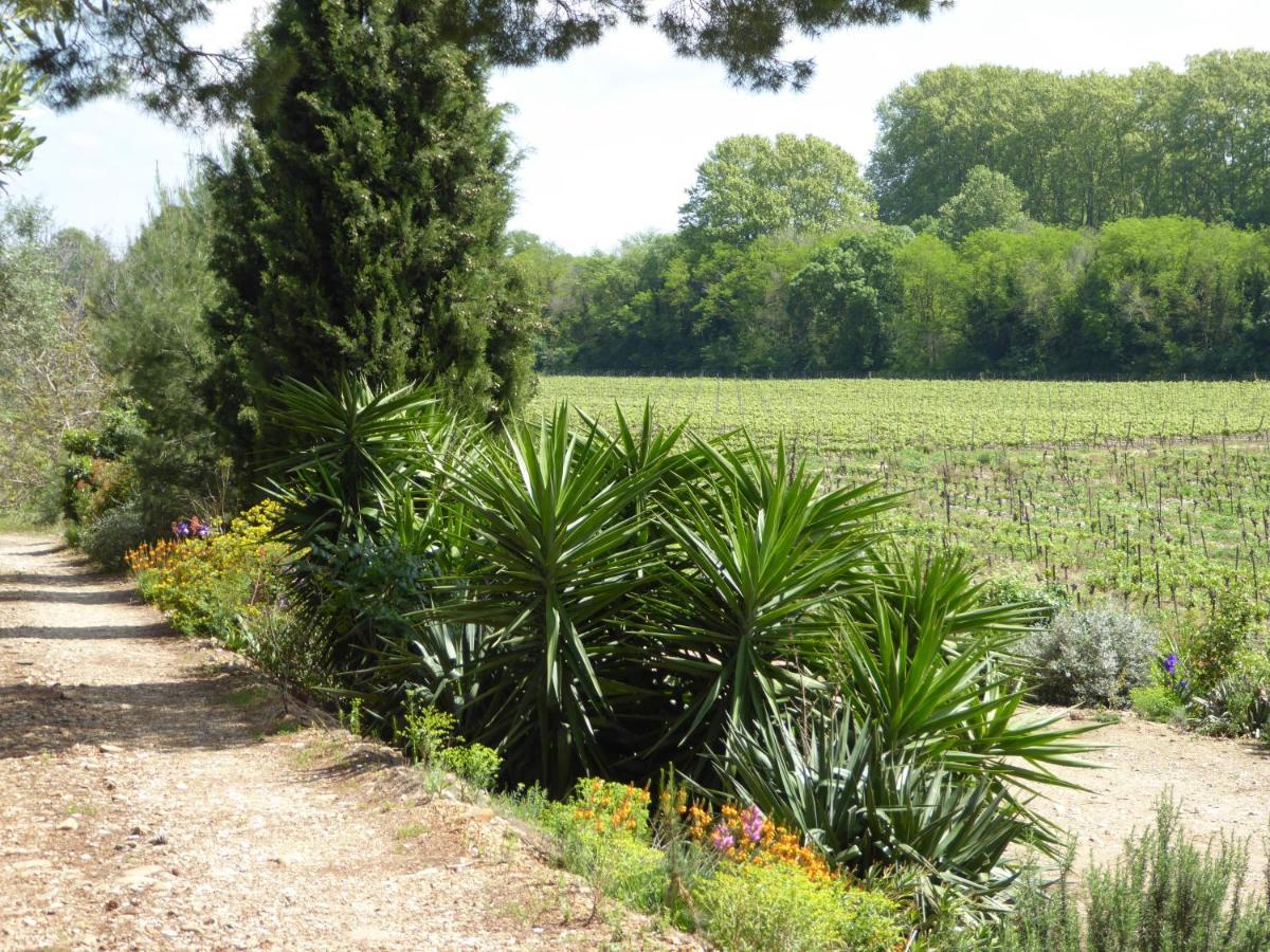 Domaine De L'Herbe Sainte Mirepeisset Exterior photo
