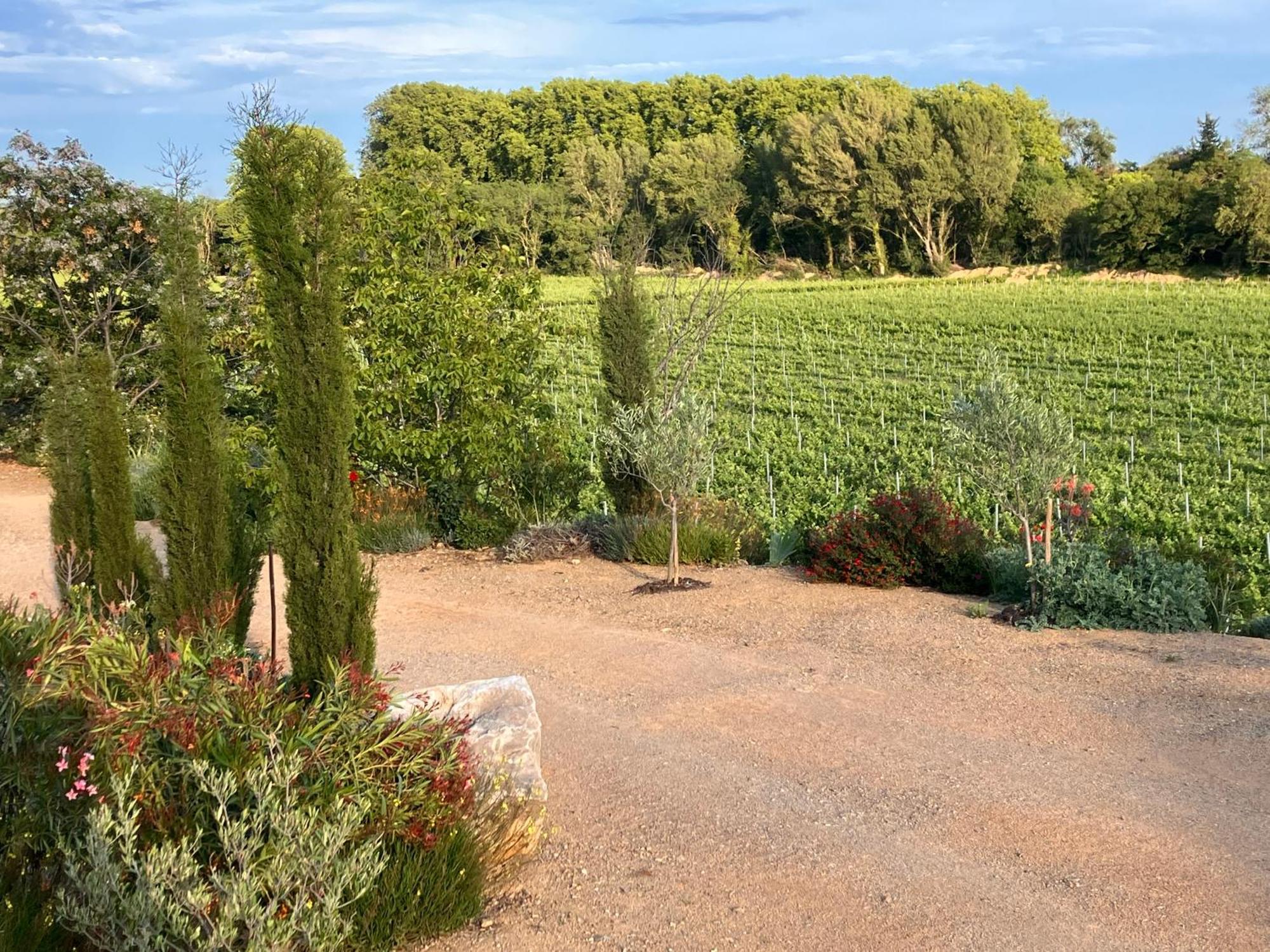 Domaine De L'Herbe Sainte Mirepeisset Exterior photo