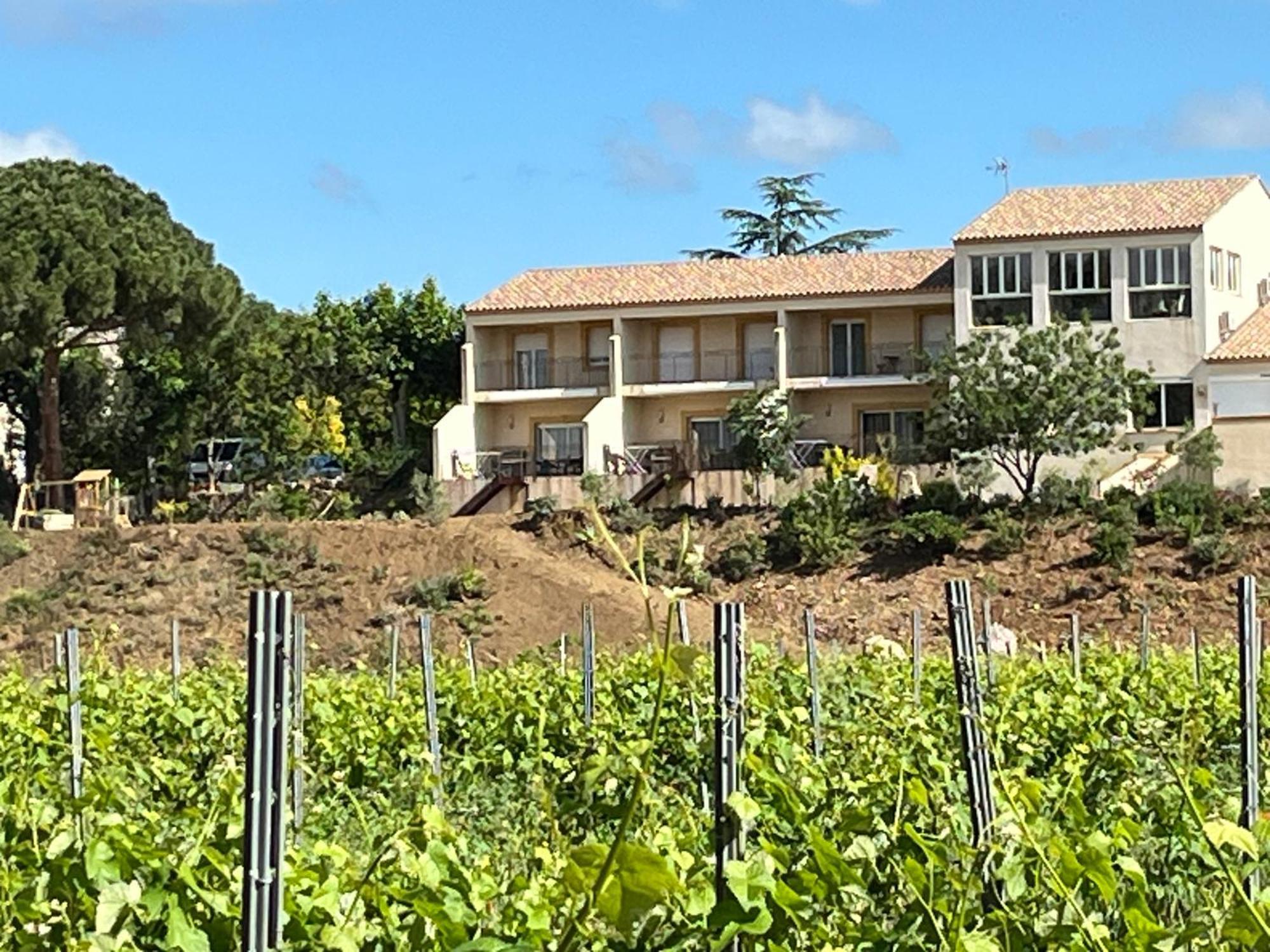 Domaine De L'Herbe Sainte Mirepeisset Exterior photo